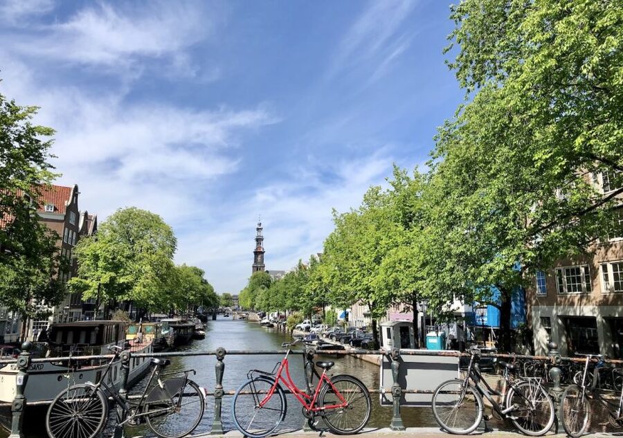 Amsterdam: Jordaan District Tour with a German guide - Tulip mania in a green courtyard