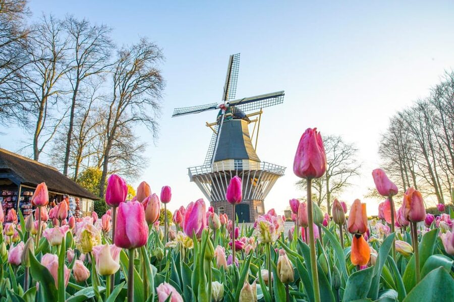 Amsterdam: Keukenhof and Zaanse Schans Live Guided Day Tour - Zaanse Schans and the Wooden Shoe Workshop