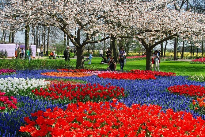 Amsterdam: Keukenhof Entry & Shuttle Bus with Flexible Return - What the flower displays are really like