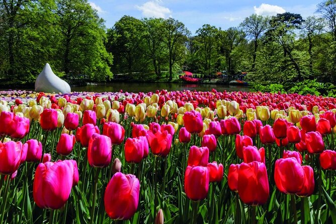 Amsterdam: Keukenhof Entry & Shuttle Bus with Flexible Return - The flexible return coach