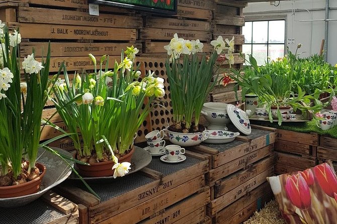 Amsterdam : Keukenhof FlowerFarm Privatetour Skip-The-Line ticket - Food, photos, and the rhythm of the day