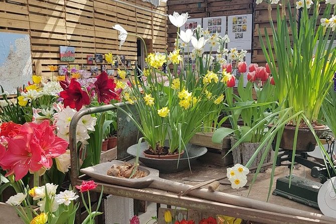 Amsterdam : Keukenhof FlowerFarm Privatetour Skip-The-Line ticket - Who gets the most value from this tour