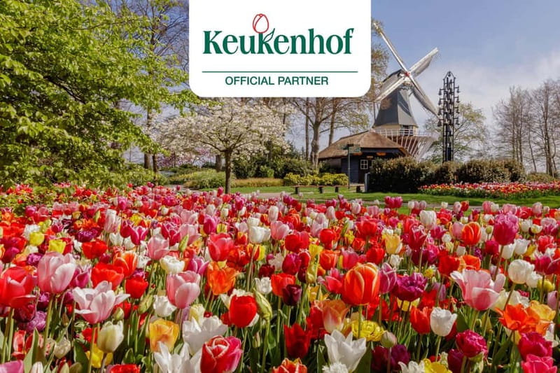 Amsterdam: Keukenhof Ticket and Roundtrip Shuttle Transfer - Key points to know before booking