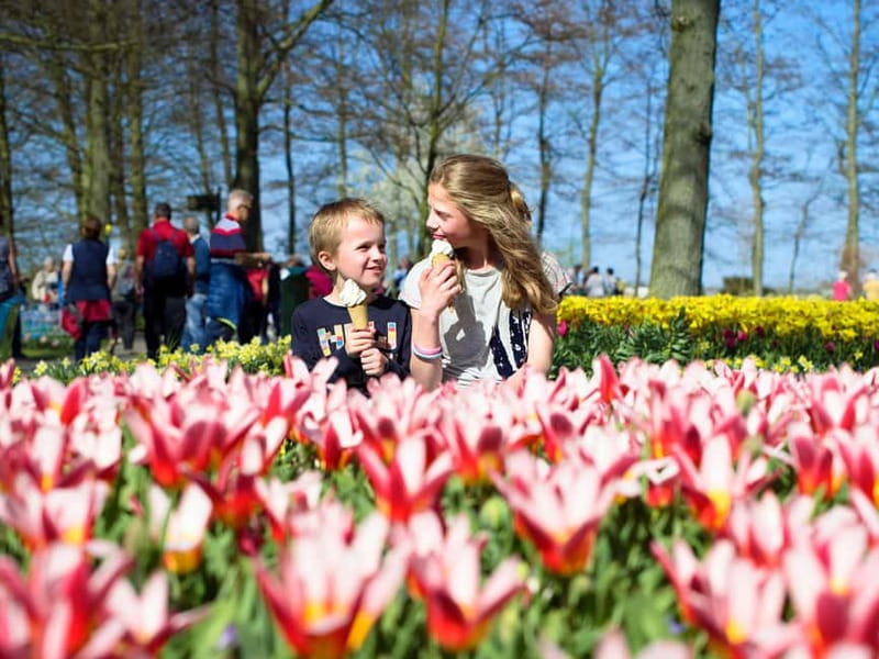 Amsterdam: Keukenhof Ticket and Roundtrip Shuttle Transfer - Why this Keukenhof trip works so well