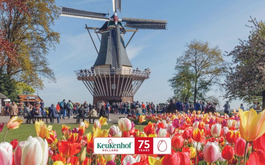 Amsterdam: Keukenhof Ticket and Roundtrip Shuttle Transfer - The coach ride to Keukenhof