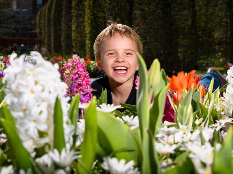 Amsterdam: Keukenhof Ticket and Roundtrip Shuttle Transfer - Entering Keukenhof with your ticket in hand