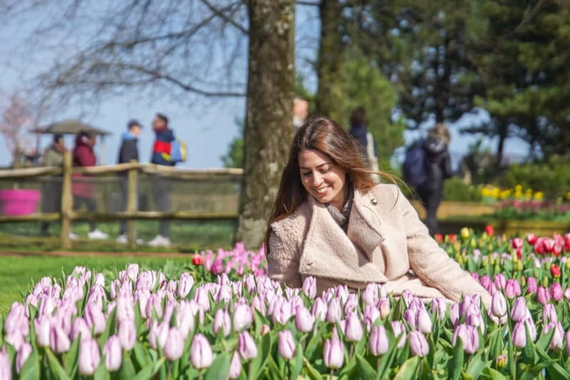 Amsterdam: Keukenhof Ticket and Roundtrip Shuttle Transfer - Choosing the right length of stay