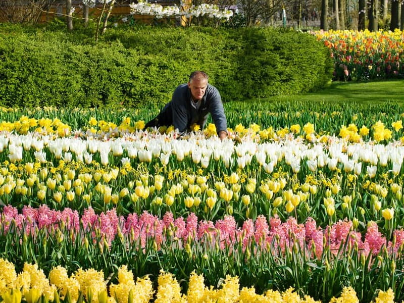 Amsterdam: Keukenhof Ticket and Roundtrip Shuttle Transfer - Getting to This is Holland behind Central Station