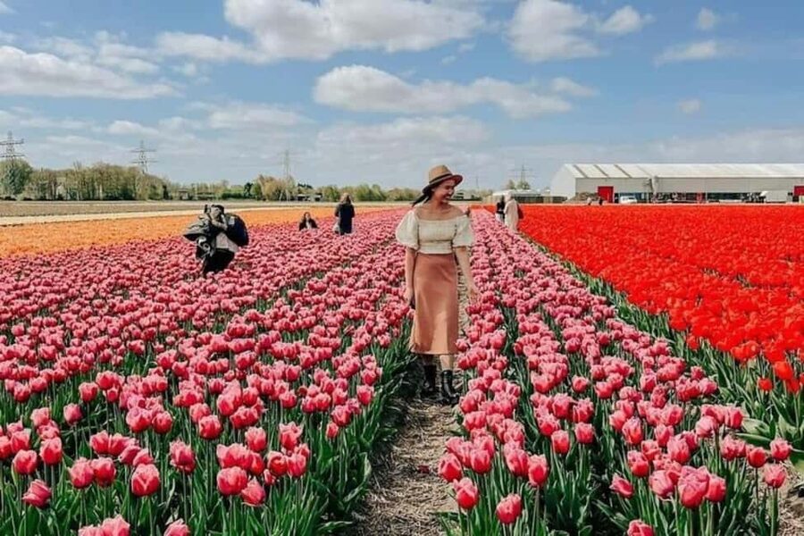 Amsterdam: Keukenhof, Tulip Farm Full-Day Tour with Cruise - Why this tulip day trip works well