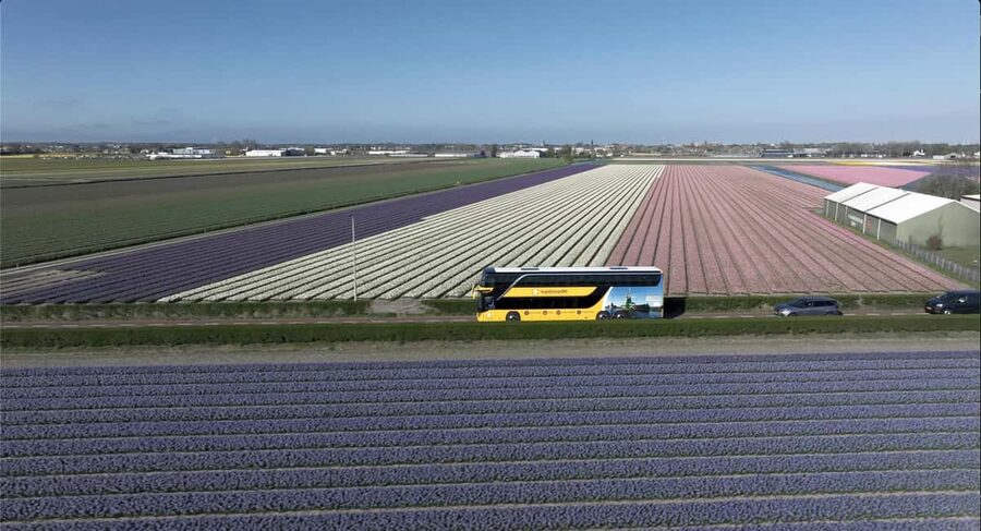 Amsterdam: Keukenhof, Tulip Farm Full-Day Tour with Cruise - How the $96 price holds up