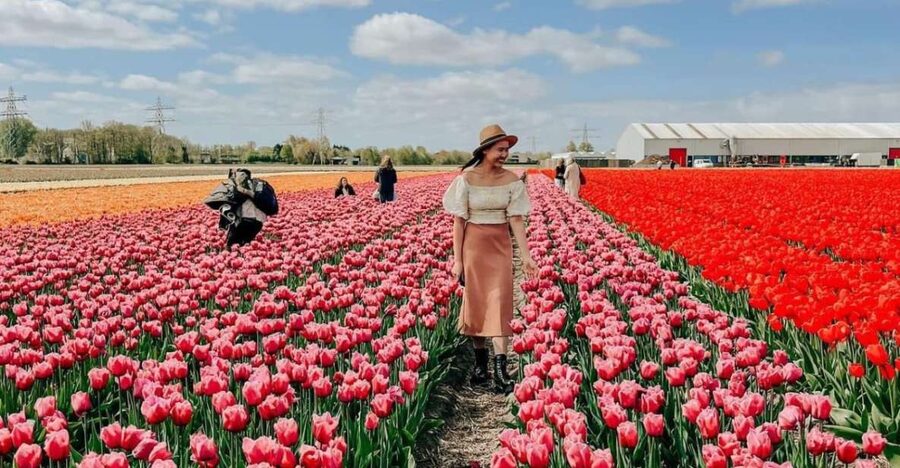 Amsterdam: Keukenhof, Tulip Farm Full-Day Tour with Cruise - The best time to book