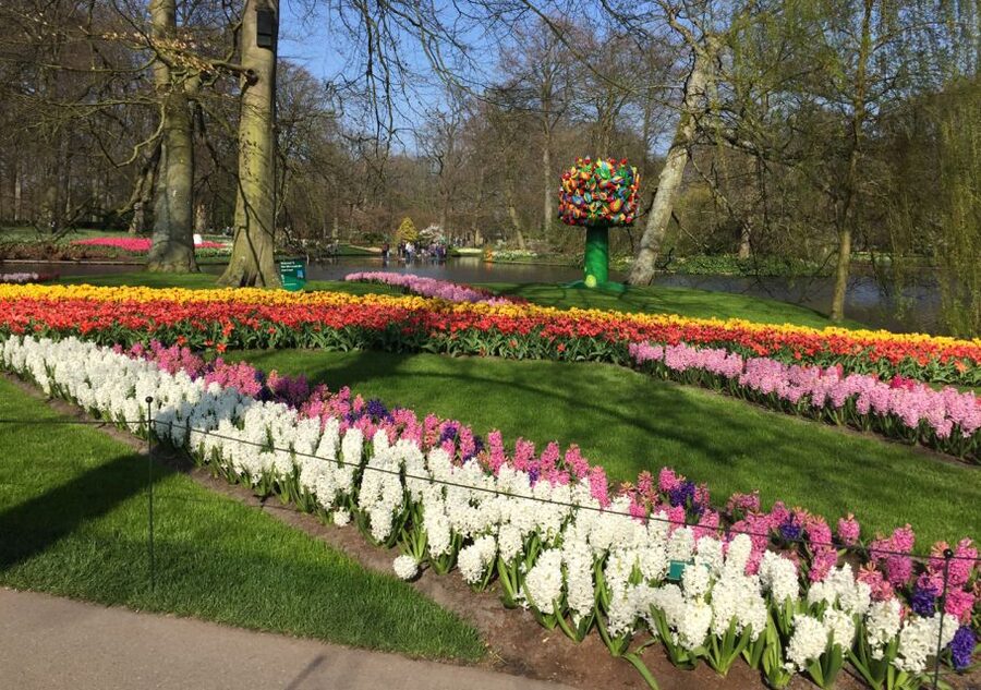 Amsterdam: Keukenhof Tulip Garden and Giethoorn Experience - Keukenhof: three and a half hours among the flowers