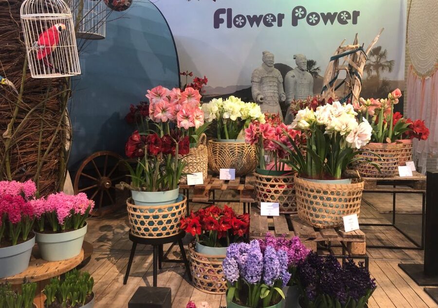 Amsterdam: Keukenhof Tulip Garden and Giethoorn Experience - The long ride north to Giethoorn