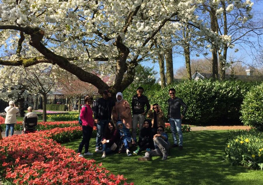 Amsterdam: Keukenhof Tulip Garden and Giethoorn Experience - What the $175 price really buys