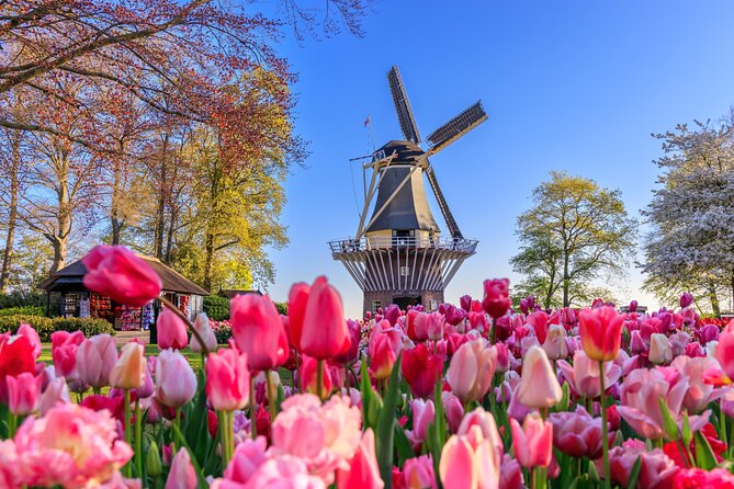 Amsterdam: Keukenhof, Zaanse Schans & Volendam Tour - Key points to know before booking