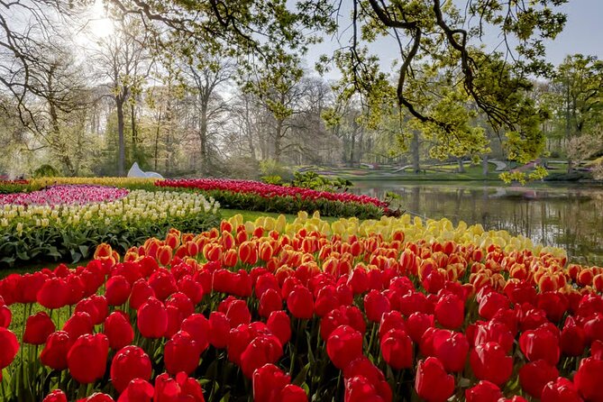 Amsterdam: Keukenhof, Zaanse Schans & Volendam Tour - Is the $83.38 price good value?