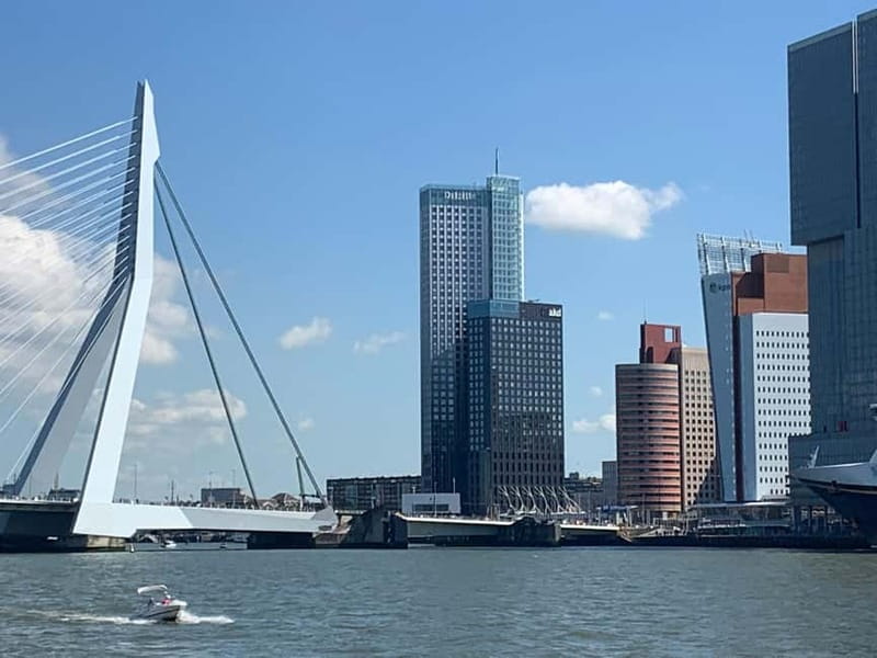 Amsterdam: Kinderdijk, Euromast, Delft and Den Haag Day Tour - Should you book this South Holland tour?