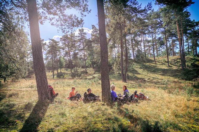 Amsterdam: Kröller Müller Museum and Hoge Veluwe NP Private Tour - Meeting point, group size, and booking details