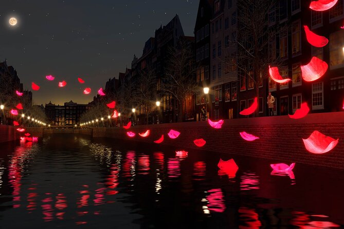 Amsterdam Light Festival: Canal Cruise + Bite & Unlimited Drinks - Boarding a shared boat for 42 people