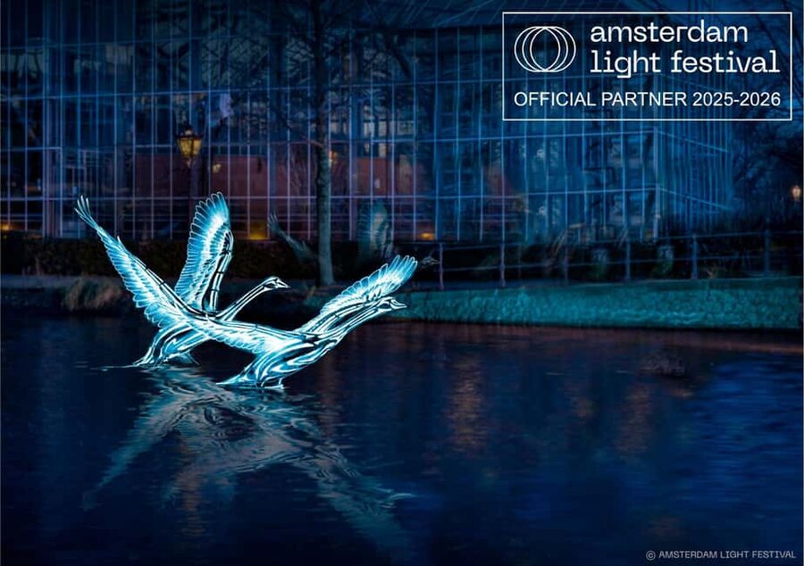 Amsterdam Light Festival Live Commentary & Optional Drinks - Key things to know before you book