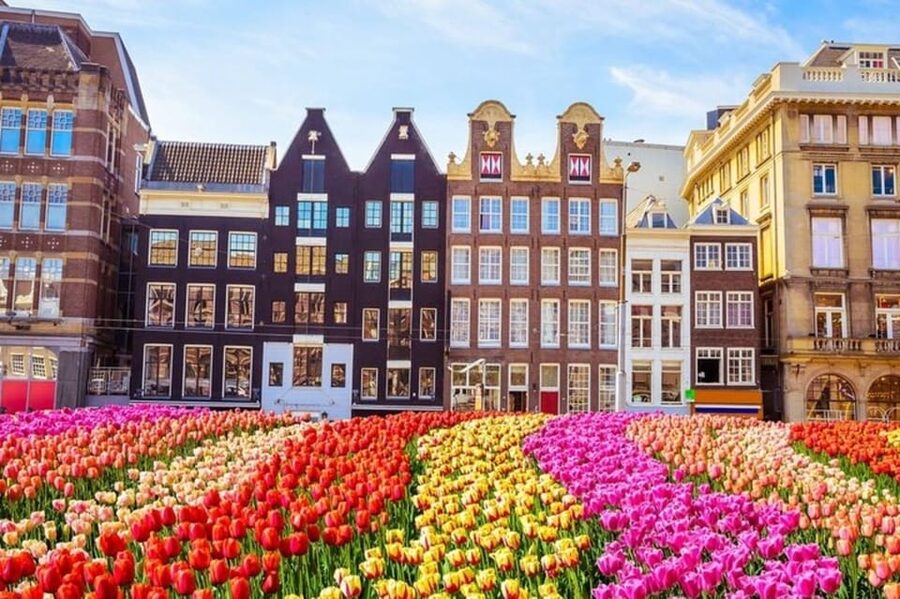 Amsterdam: Must-See Attractions Guided Walking Tour - The Royal Palace and Dam Square