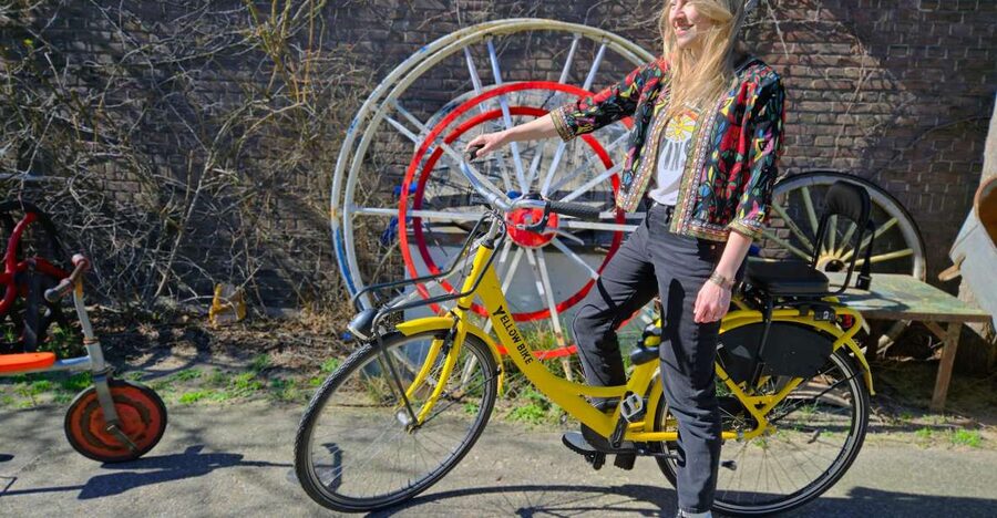 Amsterdam: North Amsterdam Bike Tour - Key points before you book