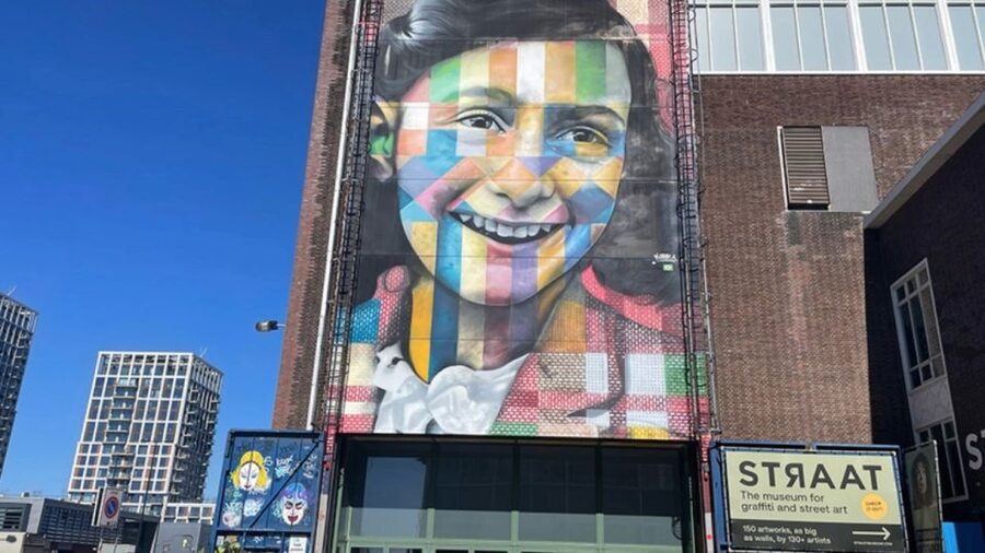 Amsterdam: North Amsterdam Bike Tour - Van der Pek, Papaverhoek, and everyday Noord