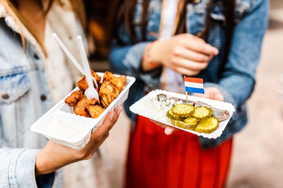 Amsterdam: Off-the-Beaten-Track Neighborhoods Private Tour - Starting with Amsterdam-Noord and the NDSM Werf