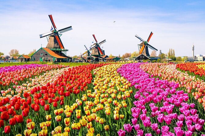 Amsterdam Pass: 45+ Things To Do - Includes Rijksmuseum - The practical problems you should expect