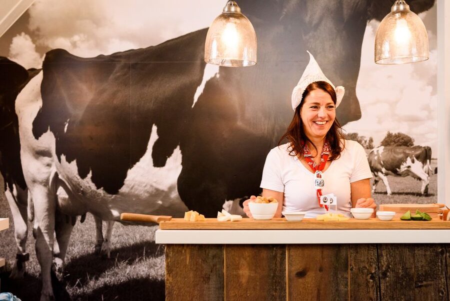 Amsterdam: Premium Henri Willig Cheese Tasting Experience - Why this Amsterdam cheese tasting works