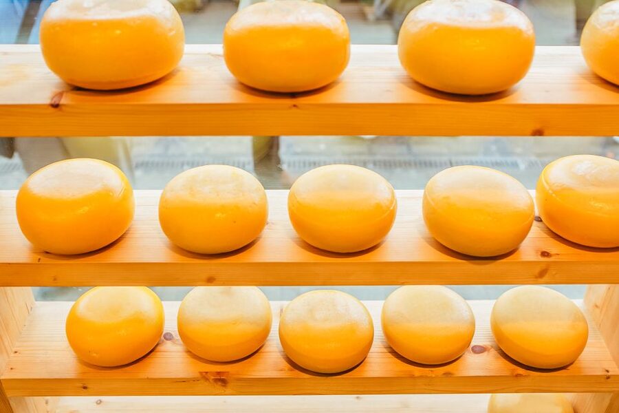 Amsterdam: Premium Henri Willig Cheese Tasting Experience - Who will enjoy this tasting most