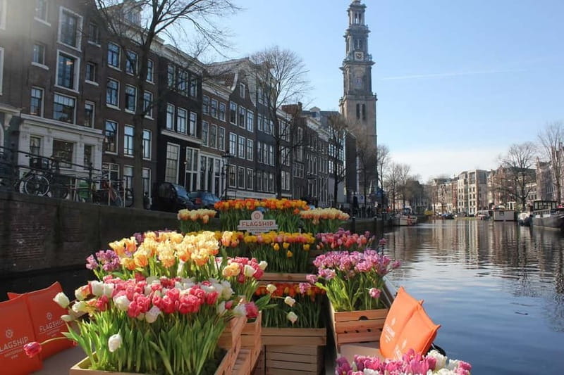 Amsterdam: Premium Tulip Boat Canal Tour - Photographing bridges and canal houses