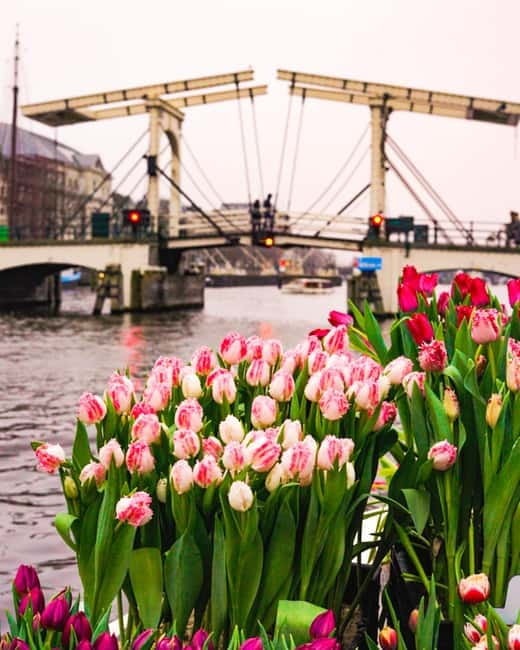 Amsterdam: Premium Tulip Boat Canal Tour - The Amstel River and the changing view