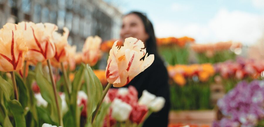 Amsterdam: Premium Tulip Boat Canal Tour - What the onboard bar adds