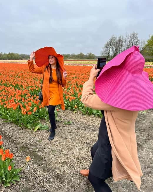 Amsterdam: Private Keukenhof and Free Tulip Tour - Key points at a glance