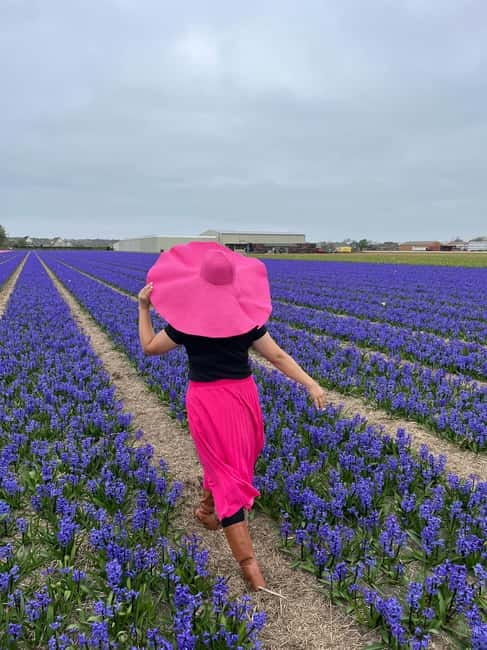 Amsterdam: Private Keukenhof and Free Tulip Tour - Families, older passengers, and access