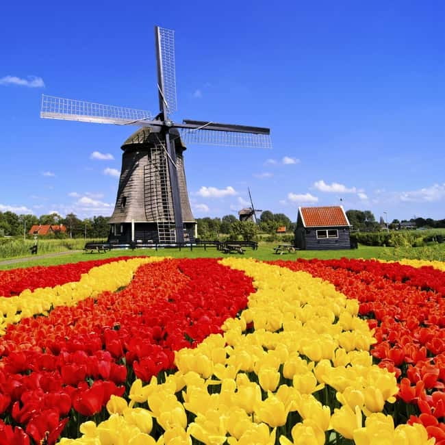 Amsterdam: Private Keukenhof and Free Tulip Tour - The ride from your pickup point