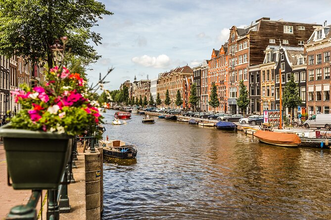 Amsterdam Private & Personalized Full-Day Tour with a Local Guide - A leafy neighborhood where daily life takes center stage