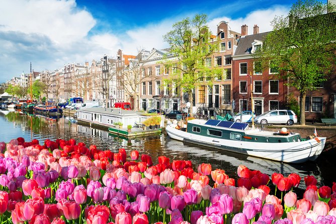 Amsterdam Private Sightseeing Tour for Kids & Families w/Local Guide - Dam Square and the Royal Palace