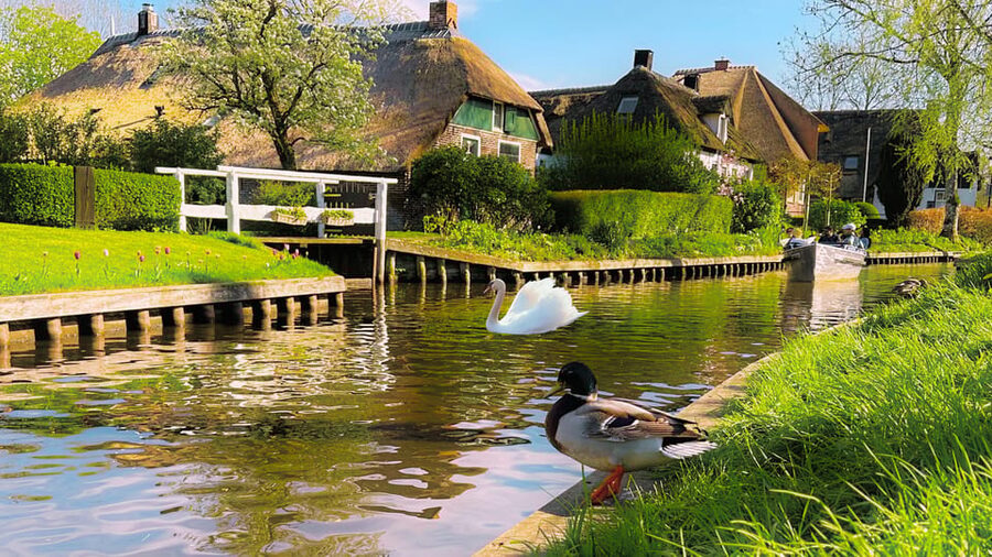 Amsterdam: Private Tour Giethoorn, Zaanse Schans Local Guide - Value, extras, and booking advice