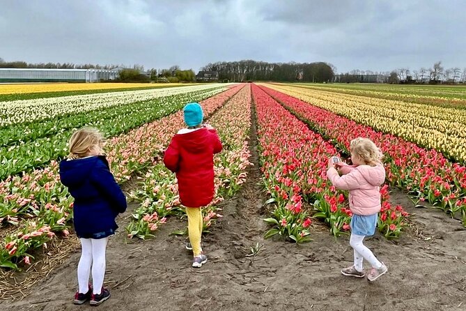 Amsterdam Private Tour to Keukenhof, Tulip Fields and Windmills - Keukenhof: two hours among millions of flowers