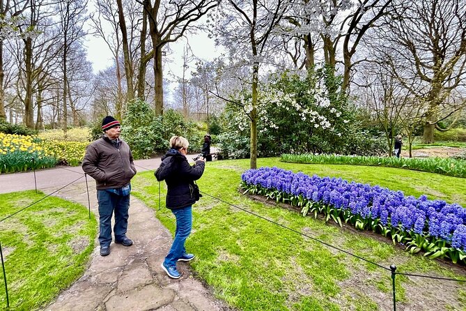 Amsterdam Private Tour to Keukenhof, Tulip Fields and Windmills - Why the private transport can be worth the price