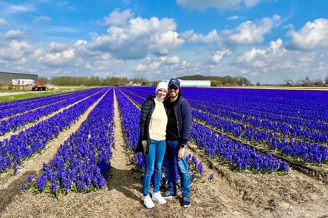 Amsterdam Private Tour to Keukenhof, Tulip Fields and Windmills - Tulip fields and camera stops outside the garden