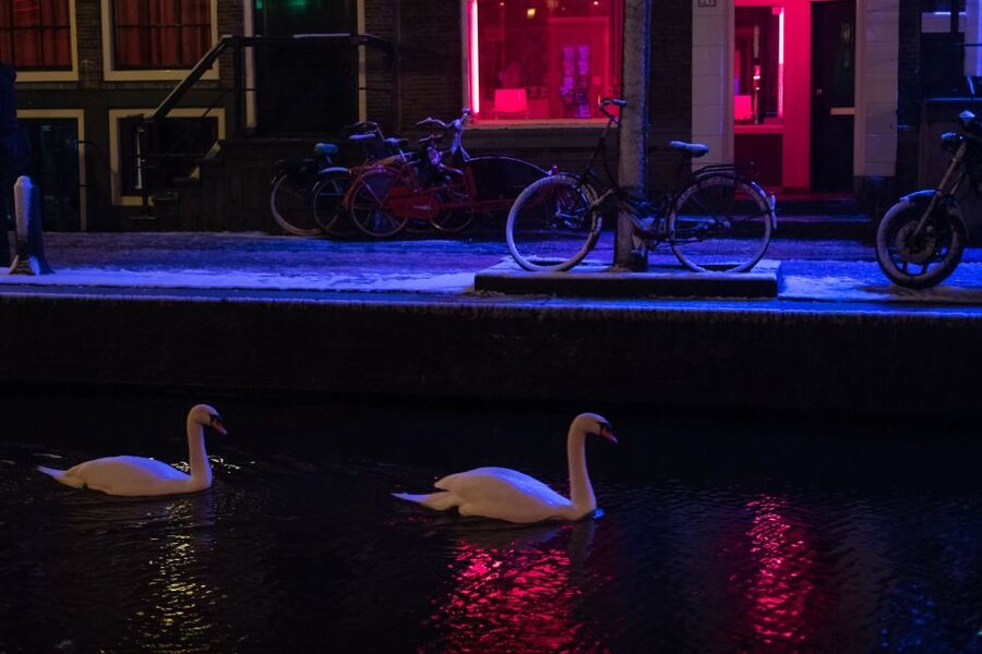 Amsterdam: Red Light District and Coffeeshop Culture Tour - The old church and the area’s sharp contrasts