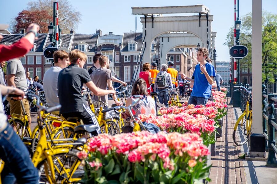Amsterdam: Relaxed City Highlights Guided Bike Tour - Vondelpark gives the ride room to breathe