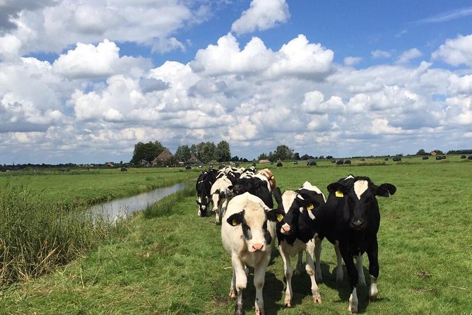 Amsterdam's Countryside Half-Day Bike Tour in Small Group - Why leave Amsterdam for Waterland?