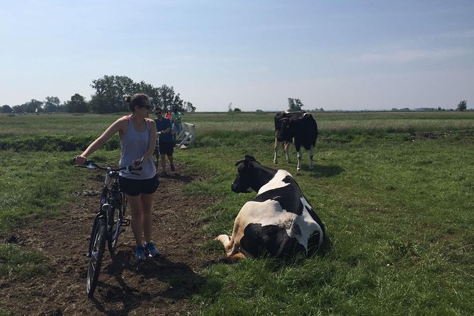Amsterdam's Countryside Half-Day Bike Tour in Small Group - Starting at Spuistraat at 9:30 a.m.