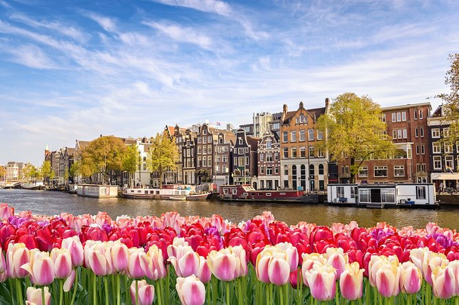 Amsterdam Schiphol Airport AMS Transfer Service - Is $98.38 per person a fair price?