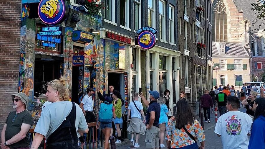 Amsterdam Shore Excursion: Highlights Walk & Canal Cruise - Key points to know before booking