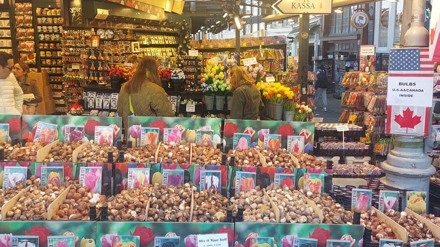 Amsterdam Shore Excursion: Highlights Walk & Canal Cruise - Two hours on foot in central Amsterdam
